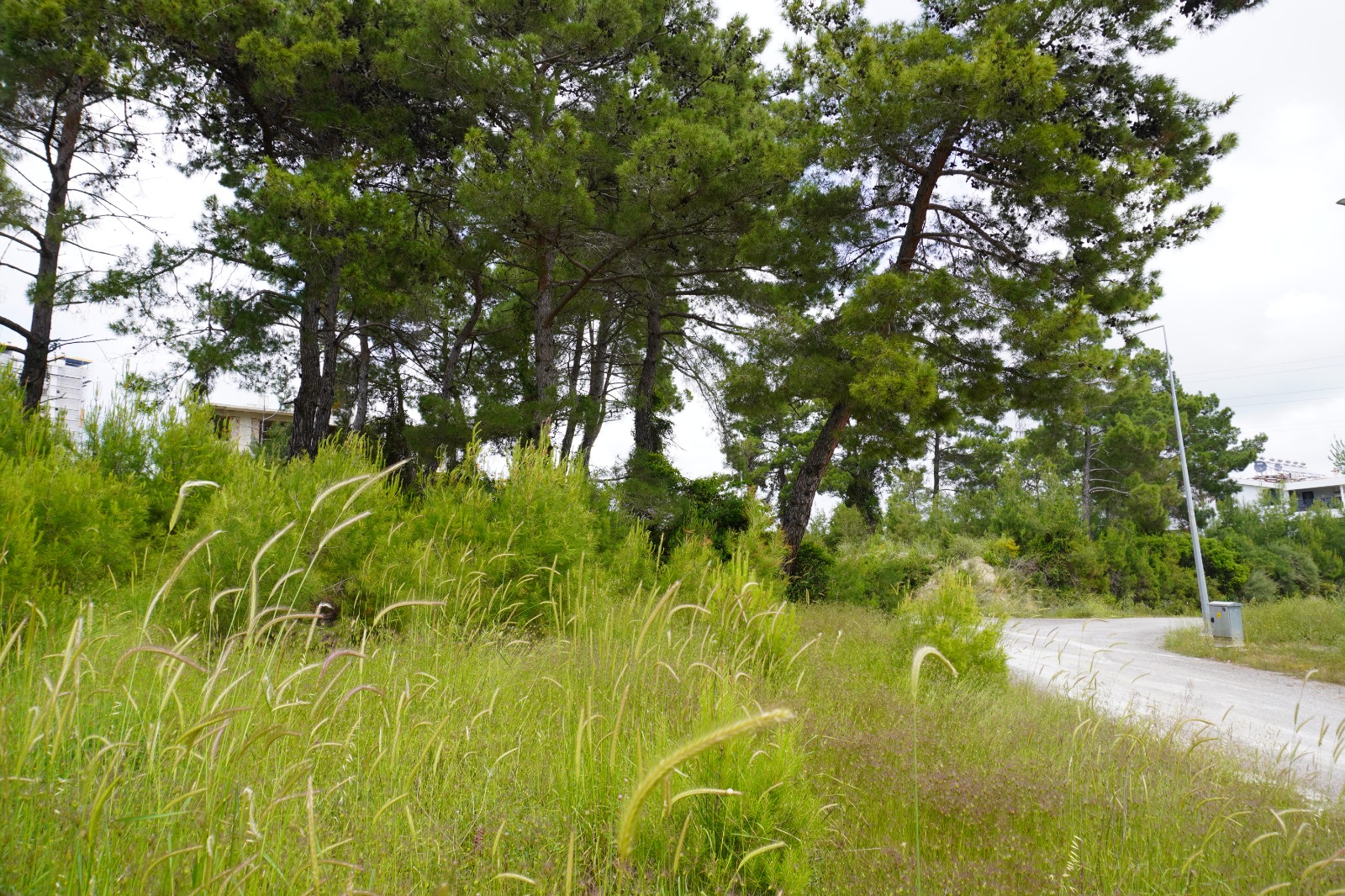 Manavgat Evrenseki Bölgesinde 2.396 m Satılık Arsa