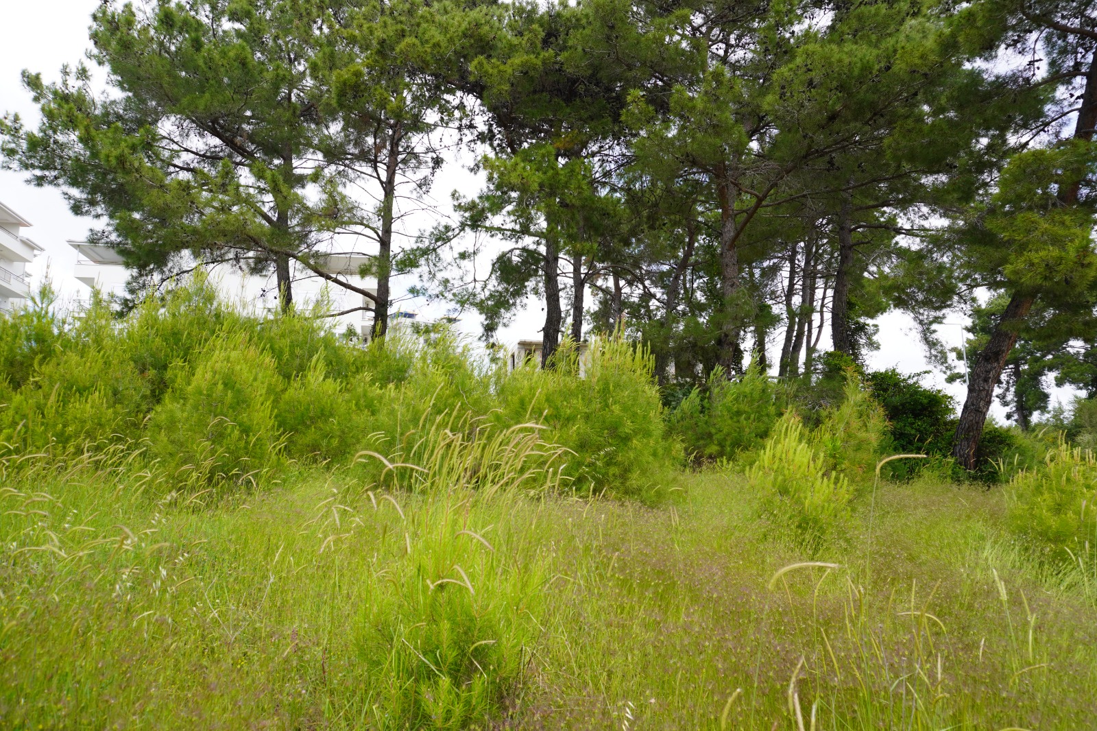 Manavgat Evrenseki Bölgesinde 2.396 m Satılık Arsa