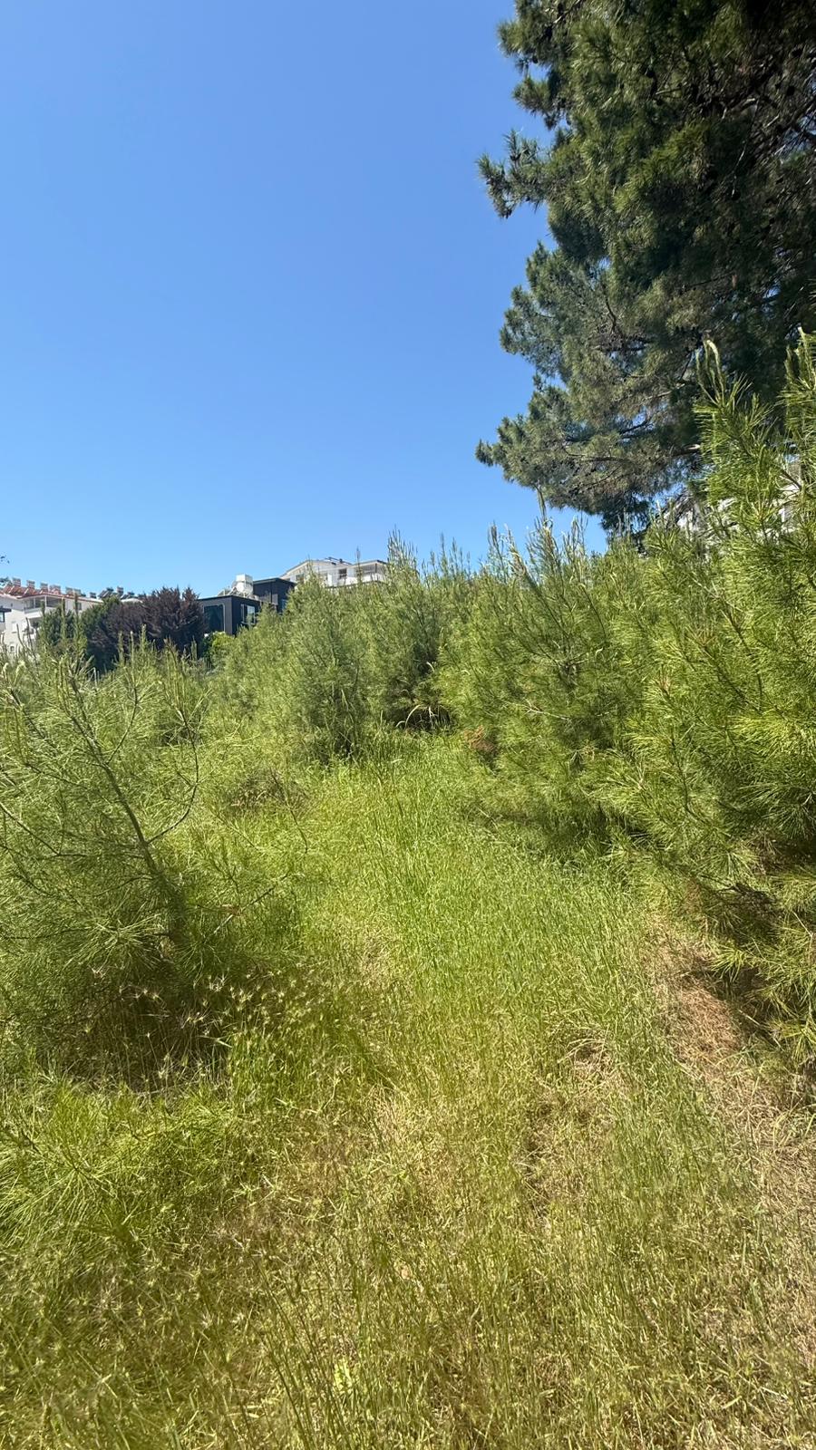 Manavgat Sarılar Bölgesinde Bulunan 888 m Satılık Arsa