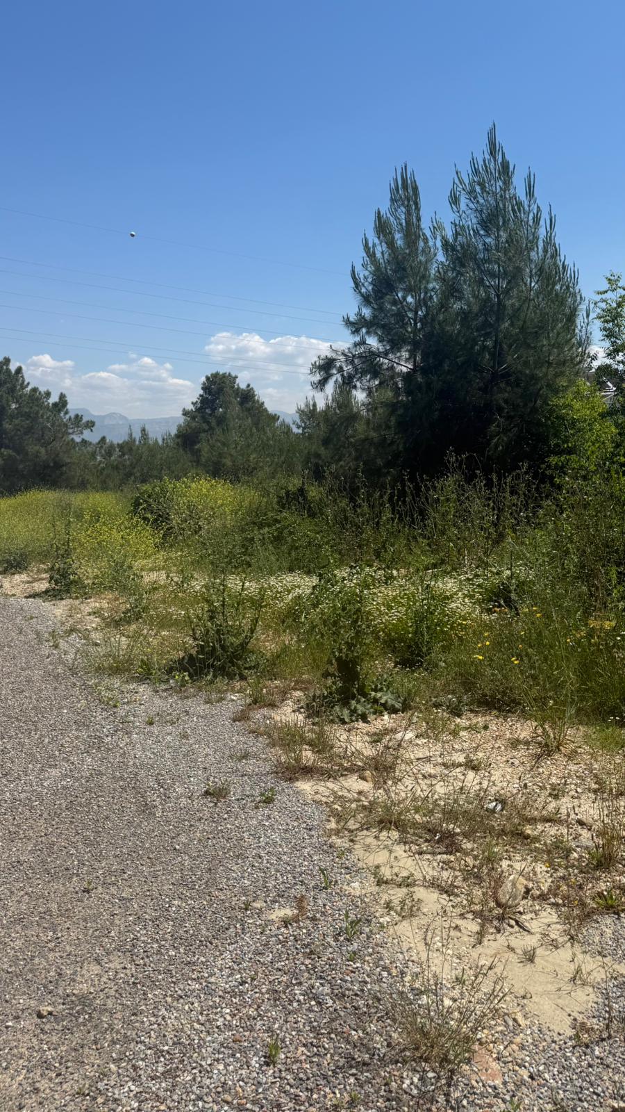 Manavgat Sarılar Bölgesinde Bulunan 888 m Satılık Arsa