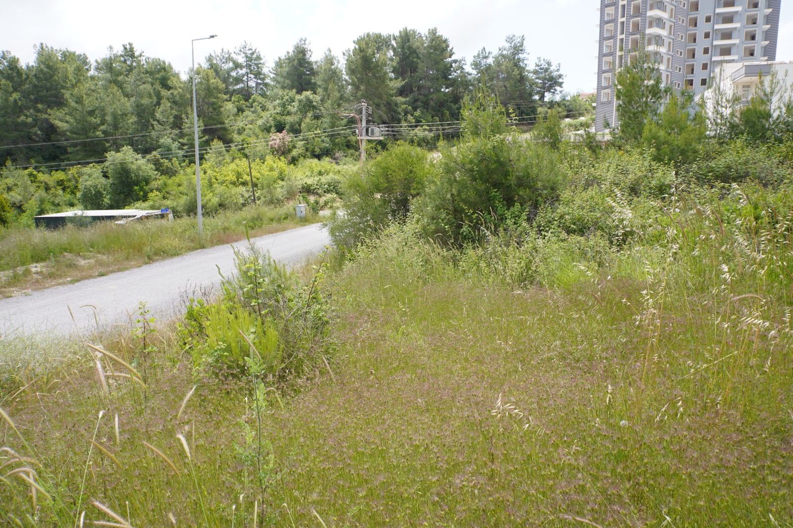 Manavgat Evrenseki Bölgesinde 2.396 m Satılık Arsa