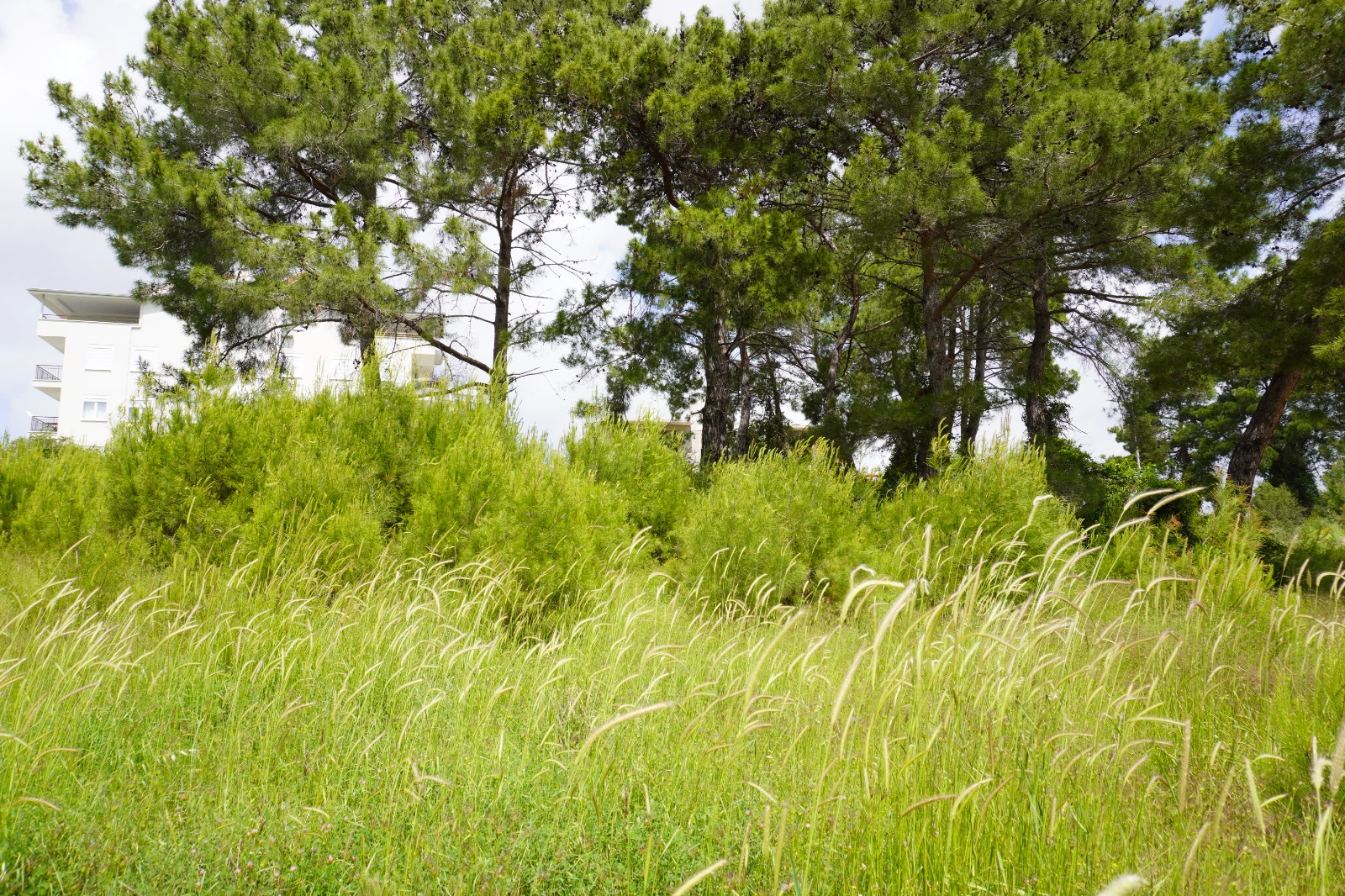 Manavgat Evrenseki Bölgesinde 2.396 m Satılık Arsa