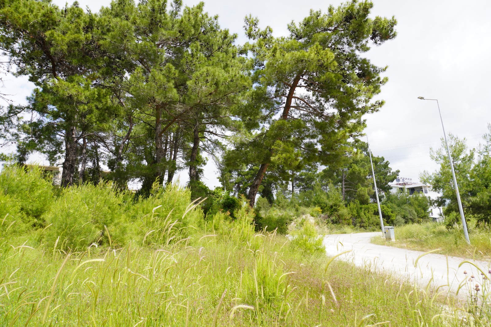 Manavgat Evrenseki Bölgesinde 2.396 m Satılık Arsa