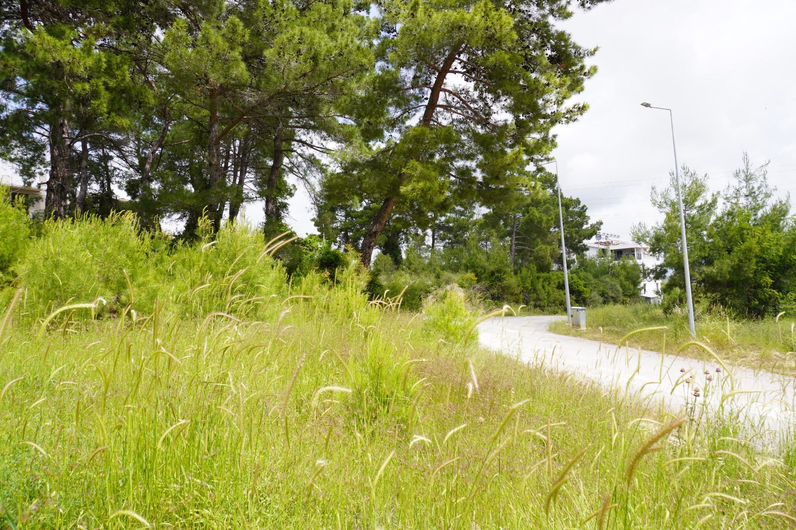 Manavgat Evrenseki Bölgesinde 2.396 m Satılık Arsa